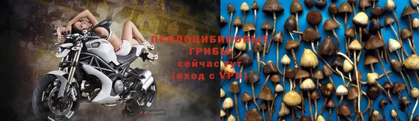 не бодяженный Белокуриха